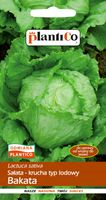 NASIONA Sałata Lodowa Głowiasta Krucha Bakata 1g PLANTICO 404427
