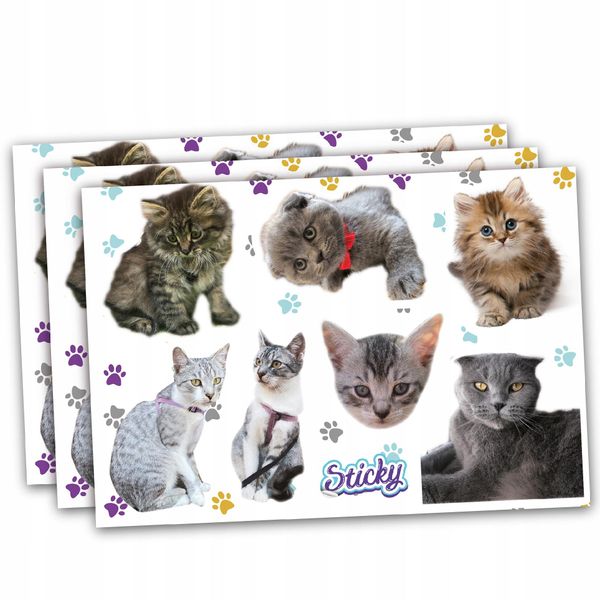 Naklejki na rower bidon kask KOTY zdjęcie 1