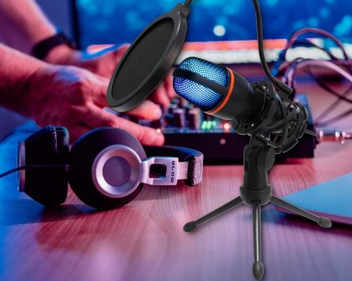 MIKROFON DO KOMPUTERA POJEMNOŚCIOWY GAMINGOWY STUDYJNY KARAOKE FILTR USB na Arena.pl