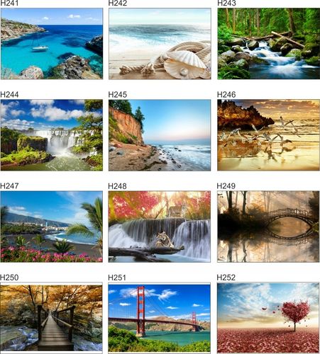 Fototapeta 3D las we mgle drzewa na wymiar FLIZ na Arena.pl