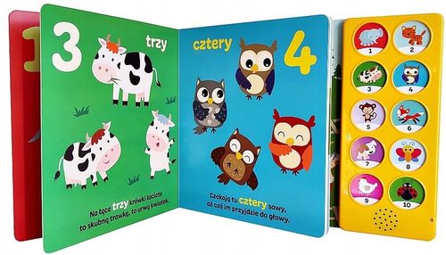 KSIĄŻKA DŹWIĘKOWA INTERAKTYWNA CYFERKI LICZĘ SŁUCHAM POWTARZAM na Arena.pl