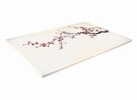 SZKLANA DESKA KUCHENNA 30x20 407a Wiśnia