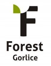 CHLEBAK POJEMNIK NA PIECZYWO DREWNIANY JEDNOCZĘŚCIOWY NATURALNY DUŻY 40x27 na Arena.pl