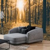 Fototapeta - Magiczne światło 250x175