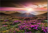 100 70CM OBRAZ PŁÓTNO PIĘKNY KRAJOBRAZ PŁÓTNO RAMA