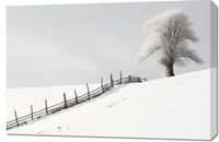 Obraz 90x60cm Samotność Zimy przy Płocie