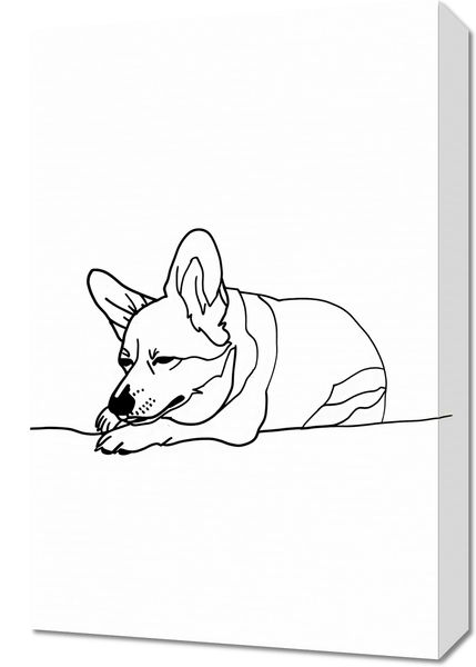 Obraz 40x60cm Śpiący Corgacz zdjęcie 1