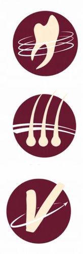 TROPIDOG Beef 12kg dorosłe psy średnich dużych ras wołowina Medium Large na Arena.pl