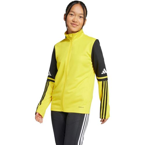 Bluza adidas Squadra 25 Training Jr JP3395 164 cm na Arena.pl
