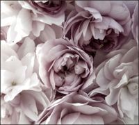 Tło do fotografii produktowej kulinarnej Flat Lay