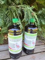 Respiratory system układ oddechowy 1 l