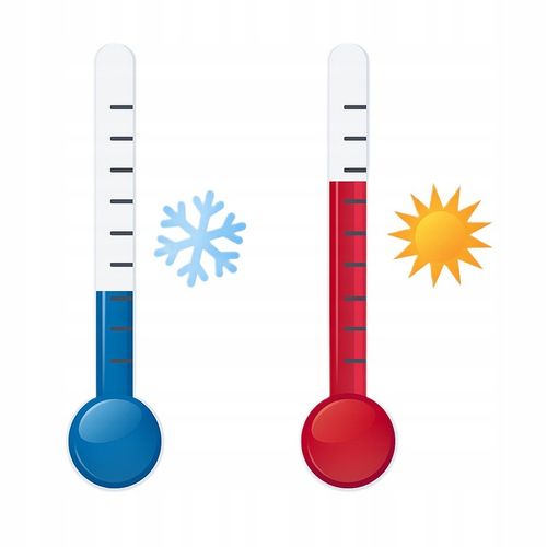 MIĘSO MROŻONE DLA PSA BEZ KOŚCI WOŁOWE BARF 100% 10 KG WOŁOWINA ŚWIEŻE na Arena.pl