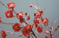 Plakat 91,5x60cm Szkarłatna Wiosna