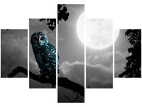 70 100CM OBRAZ 5 ELEM BŁĘKITNA SOWA DRUK PŁÓTNO