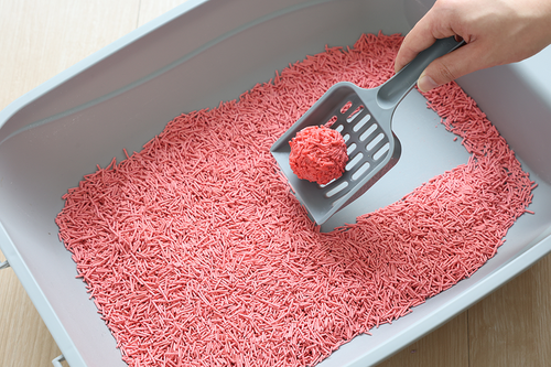 Żwirek zbrylający dla kota brzoskwiniowy 15kg - biodegradowalny na Arena.pl