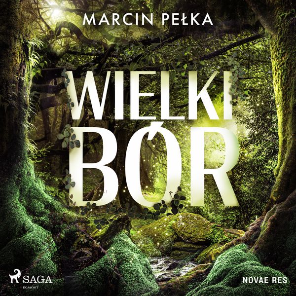 (mp3) Wielki Bór zdjęcie 1