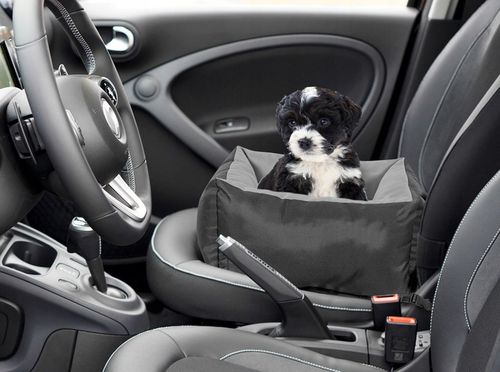 Transporter Samochodowy 55x55 cm Wodoodporny Szary dla Psa Kota na Arena.pl