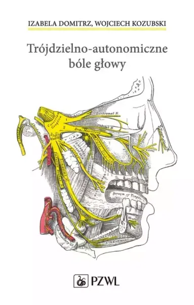 Trójdzielno-autonomiczne bóle głowy zdjęcie 1
