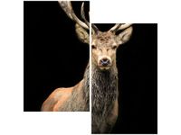 product-compare-58647265