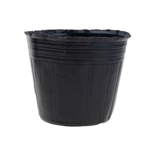 DONICZKI PRODUKCYJNE DO ROZSAD UPRAW WYSIEWU SADZONKI 10SZT/KPL 10X10X na Arena.pl