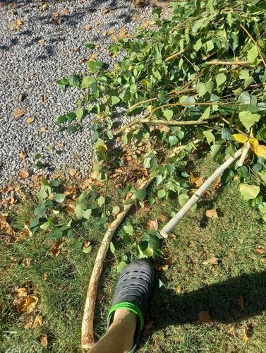 SEKATOR OGRODOWY TELESKOPOWY WYSIĘGNIK PIŁA 2W1 DO GAŁĘZI KRZEWÓW KONARÓW na Arena.pl