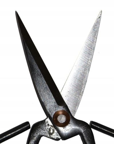 NOŻYCE DO BONSAI na Arena.pl