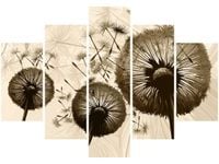 105CM 150CM OBRAZ 5 ELEM DMUCHAWCE BEŻU DRUK