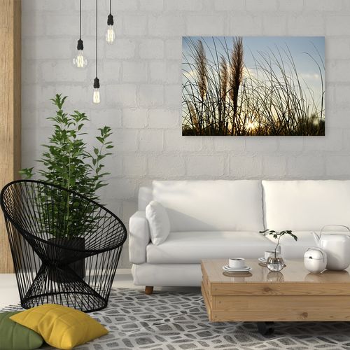Deco Panel, Trzcina w słońcu 60x40 na Arena.pl
