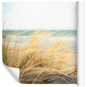 Fototapeta PLAŻA Wydmy Rośliny Morze do Salonu 300x210