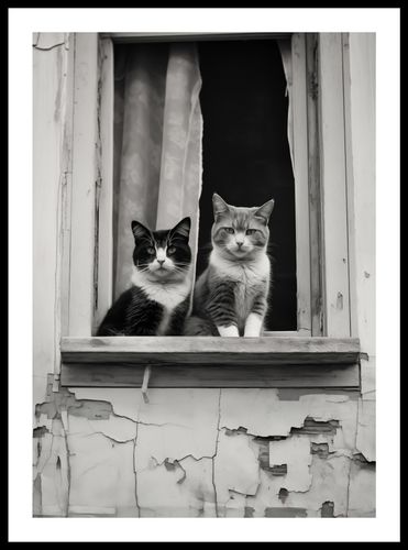 Plakat 42x59,4cm Para w Oknie na Arena.pl