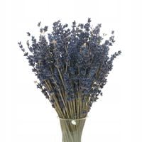 Suszona lawenda ciemna, niebieska bukiet ~150 szt.