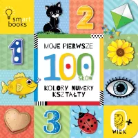 Moje Pierwsze 100 Słów. Kolory, Numery, Kształty, Wydanie 2