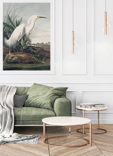 Plakat biały ptak mokradła bagna 50x70 cm na Arena.pl