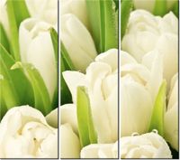 product-compare-58702763