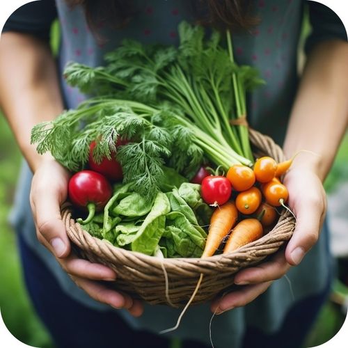 TRUTKA NA ŚLIMAKI ŚRODEK NA ŚLIMAKI 1KG GRANULAT LIMA ORO 5GB na Arena.pl