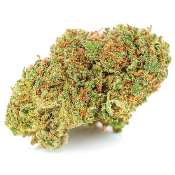 Susz konopny CBD  White Widow 10 g zdjęcie 11