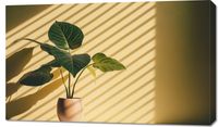 product-compare-59478586