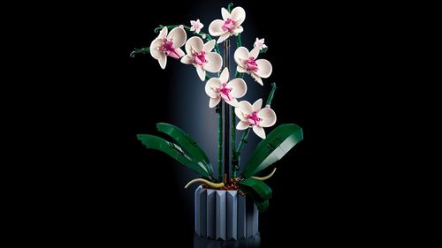 LEGO ICONS Orchidea 10311 na Arena.pl