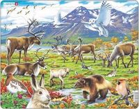 Rozwijające PUZZLE Do Układania GRA LOGICZNA Zestaw Puzzli ZIMNA ARKTYKA