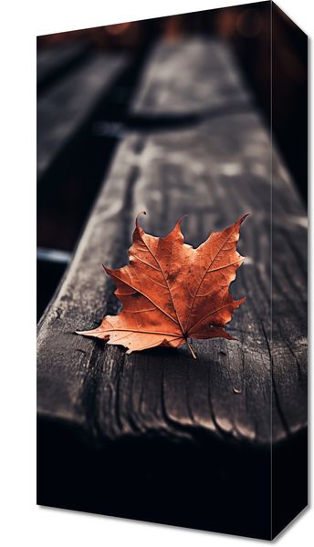 Obraz 20x40cm Pojedynczy Liść zdjęcie 1