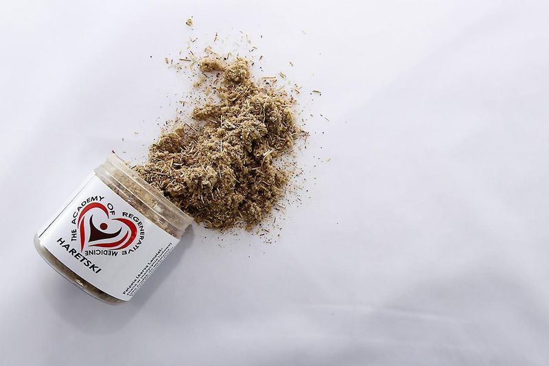 .Polpala ziele Aerva Lanata nerki pęcherz. zdjęcie 1