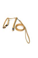 A-058 KOMPLET DLA KOTA V.1 Kolor - Złoty