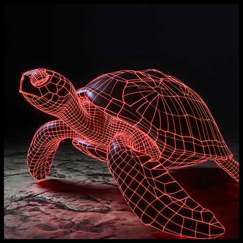 Plakat 60x60cm Neonowy Żółw na Arena.pl