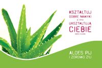 Kształtuj dobre nawyki – obraz w ramie 20×30 cm Wybierz ramkę - Ramka czarna anoda mat R1 - szeroka