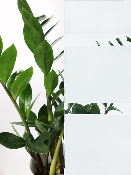 Wyprzedaż G63 zdjęcie 10