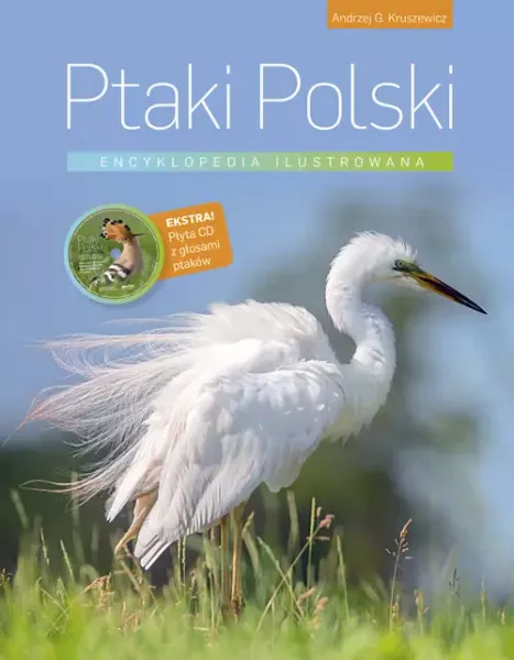 Ptaki Polski. Encyklopedia ilustrowana zdjęcie 1
