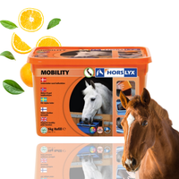 Horslyx Mobility Masa Energetyczna Dla Koni W Formie Bloków 5kg
