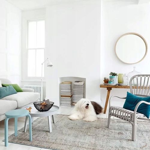 DULUX ABSOLUTE WHITE 9L FARBA BIAŁA DO ŚCIAN I SUFITÓW na Arena.pl