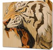 Obraz 50x50cm Majestatyczny Ryk Tygrysa