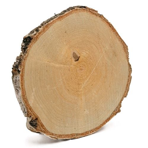 Plastry drewniane, plaster drewna, 10-16 cm na Arena.pl